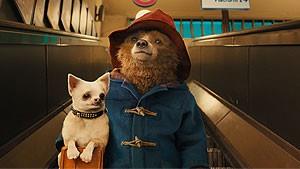 Paddington - DK tale